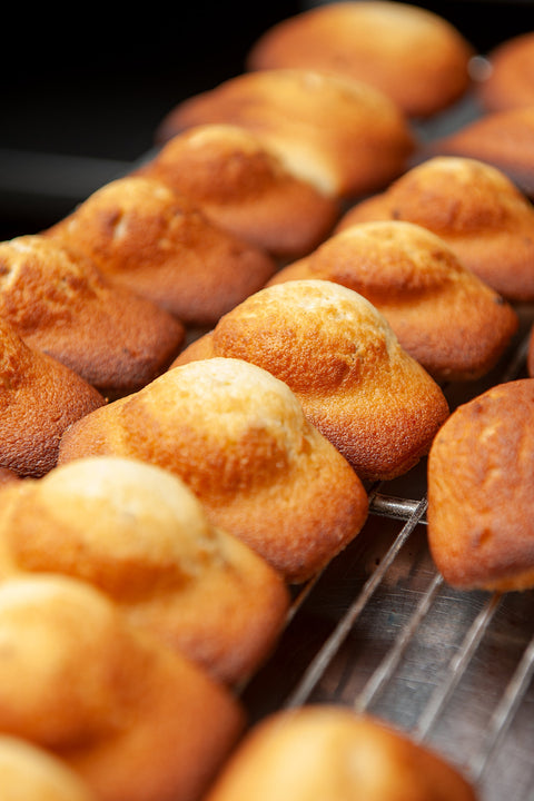Image of Madeleines from Laura's Home Bakery in the oven cooking, showcasing their delicate, shell-shaped form and a tender crumb with a hint of citrus zest