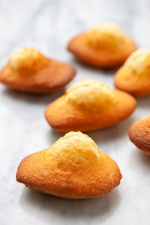 Madeleines